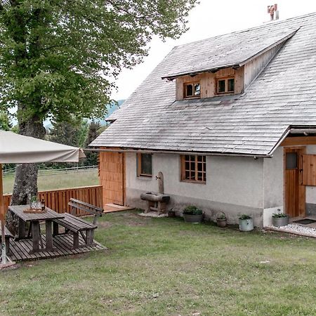 Holiday House Franc Villa Srednja Vas v Bohinju Ngoại thất bức ảnh