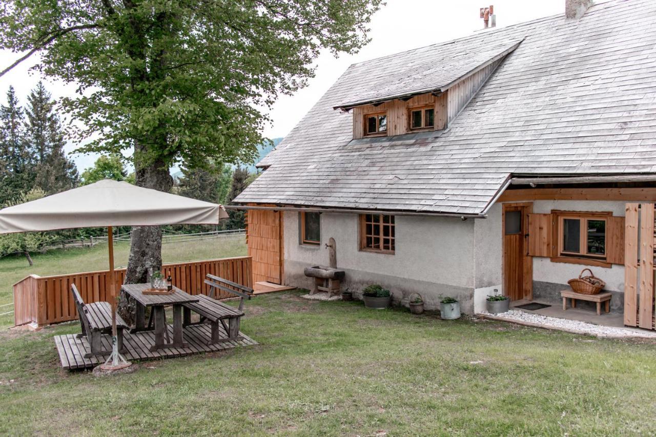 Holiday House Franc Villa Srednja Vas v Bohinju Ngoại thất bức ảnh